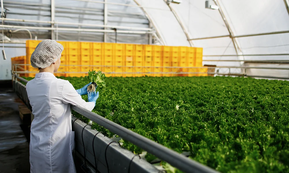 système filtration eau